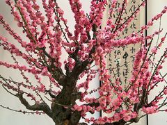 -无锡梅园公园
