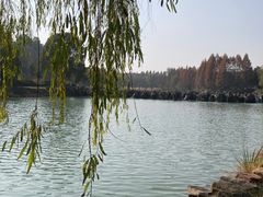 -南京珍珠泉风景区