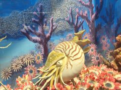 -国家自然博物馆