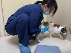 -爱妮康宠物医院·干细胞免疫细胞·肿瘤·心脏(张江店)