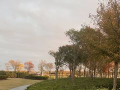 -春花秋色城市公园