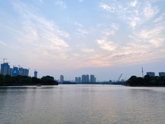 -大耳象东南亚风情餐厅(月湖公园店)