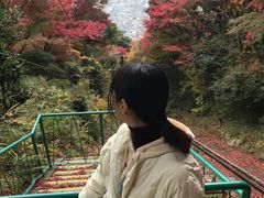 -神户市立六甲山牧场