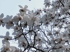 -西安市长乐公园