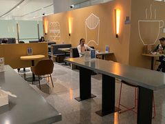 大堂-麦当劳(北京大兴机场二层国内到达(安检外)店)