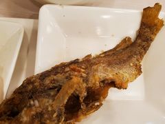 -阿斯利康食堂(张江园区店)