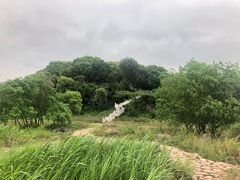 -上海市保健医疗中心