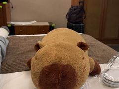 -观澜湖高尔夫球会