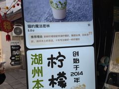 -猫的魔法密林(衣裳街店)