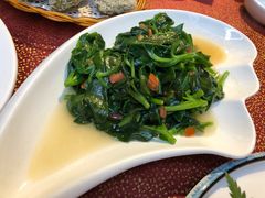 田七苗-云和祥食府·特色云南菜(金碧公园店)