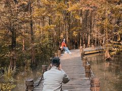 -桤木河湿地公园