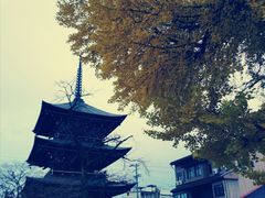 -医王山·飞騨国分寺