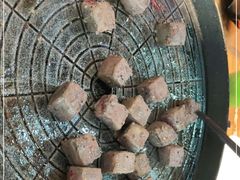 -猪小牛烤肉(青塔店)