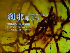 -中华赏石园
