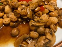 -梁溪河畔·吉府花园(南长街南下塘店)