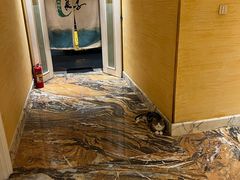 -良子健身(金融街店)