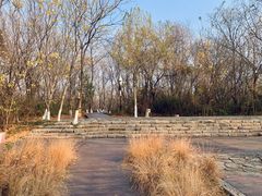 -盘龙城国家考古遗址公园