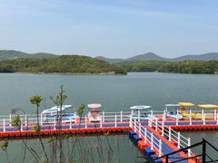 -佛手湖郊野公园