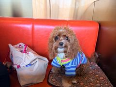 -Lets burger非常汉堡·环球风味(蓝色港湾店)