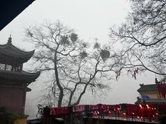 -涂山寺素食餐厅