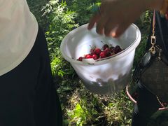 -甘堡藏寨