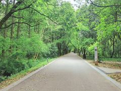 -同里国家湿地公园