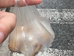 -六广门毛阿姨糯米饭
