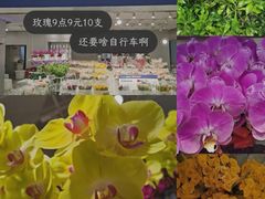 -盒马X会员店(王府井奥莱UP TOWN店)