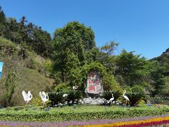 -广州白江湖森林公园