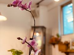 -ABCD咖啡屋(妇幼店)