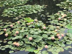 -长兴太湖图影湿地文化园