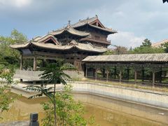 -善化寺