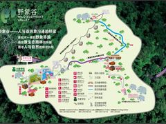 -野象谷景区