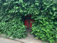 -斯多格书乡(北京大学畅春园店)