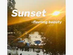 -泉州海丝野生动物世界