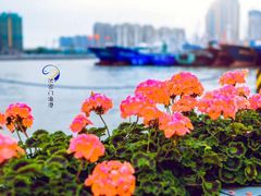 -沈家门渔港