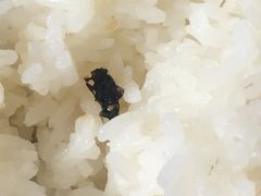 -渔民新村(番禺总店)