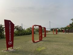 -芒洲湿地公园