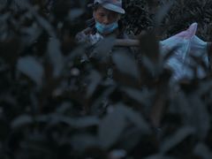 -中国茶叶博物馆(双峰馆区)
