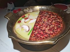 -九鼎轩脆毛肚火锅(三钢里店)