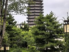 -西海子公园