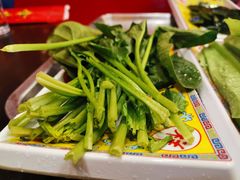 -芦月轩羊蝎子(北蜂窝店)