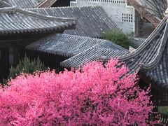 -即墨古城