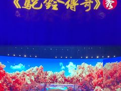 -《驼铃传奇》秀