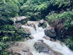 -南海湾森林生态园
