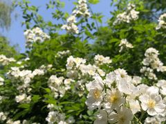 -郑州中国绿化博览园