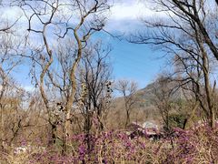 -西湖风景区-江洋畈生态公园