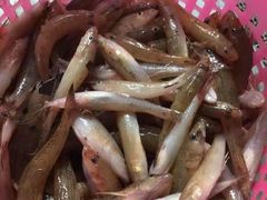 -八仔大富楼·河鲜(西江店)