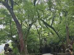 -蒋氏故居