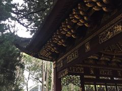 -汇龙潭